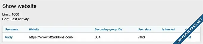 Andy Show website-1.webp