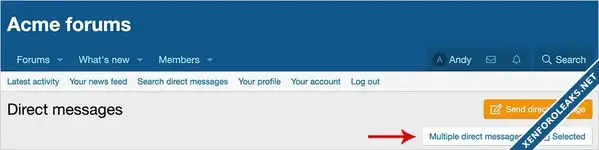 Andy Multiple direct messages-1.webp