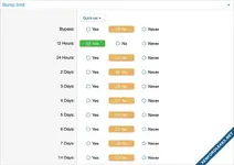 Andy Bump limit-3.webp