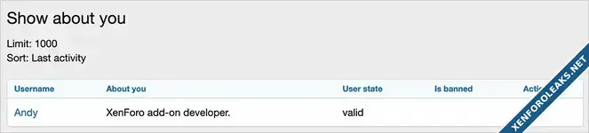 Andy Show about you-2.webp