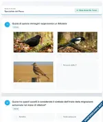 1769268010978.webp 1769268010978.webp