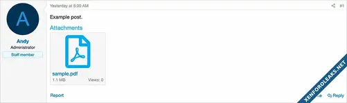 Andy Open PDF-1.webp