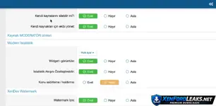 XenDev Watermark-2.webp