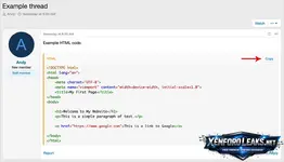 Andy-Copy-code-1.webp